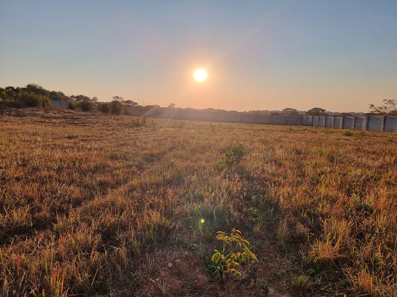 Residential plots