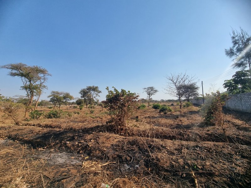 Residential plots