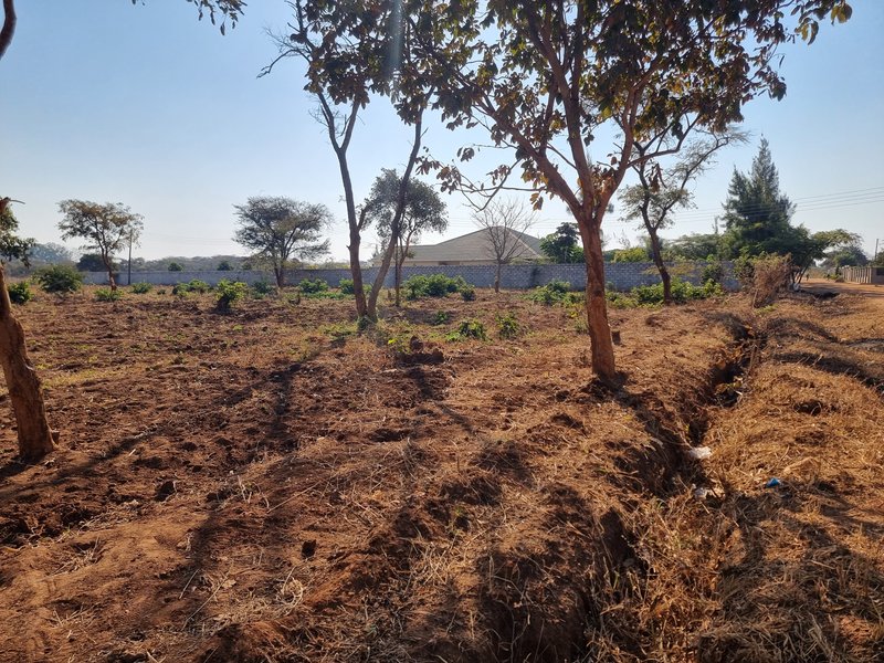 Residential plots