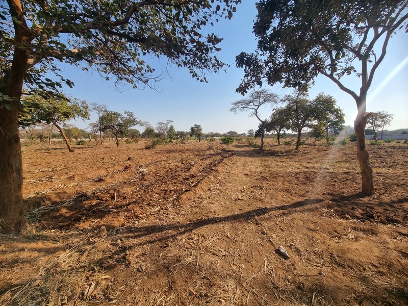 Residential plots