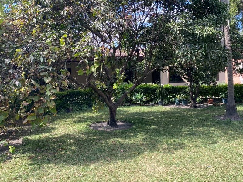 Commercial Property for Sale